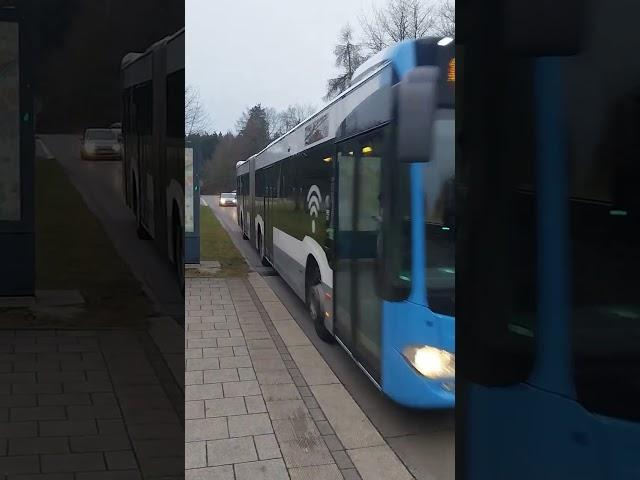 Mercedes Benz Citaro C2 G  Wagennummer 153 Stadtwerke Ulm (SWU) #shortvideo