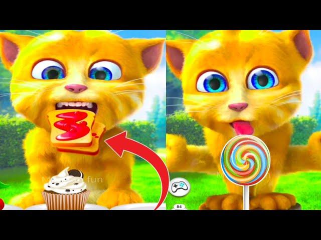 Talking Ginger Funny Videos  | talking tom | talking ginger | tom cat |