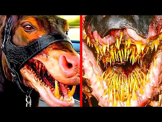 Deadliest Animal Mouths That Will Give You Chills