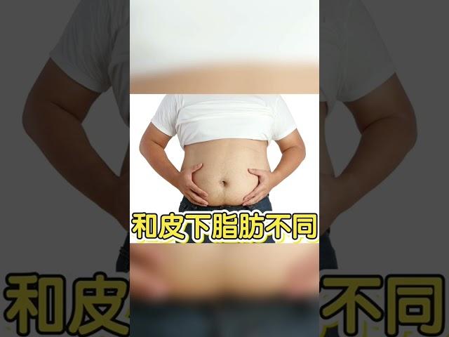 【內臟脂肪】如何快速減掉內臟脂肪？這樣做就對了！您不可不知的健康常識？ 60歲邱正宏醫師跟你說 #shorts 【邱正宏談健康】