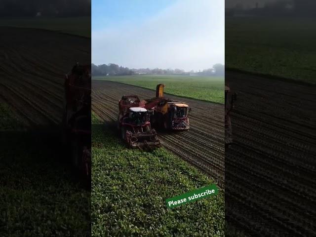 Harvesting with machines! #Agriculture #Sannong #HarvestMachine#agricultural machinery