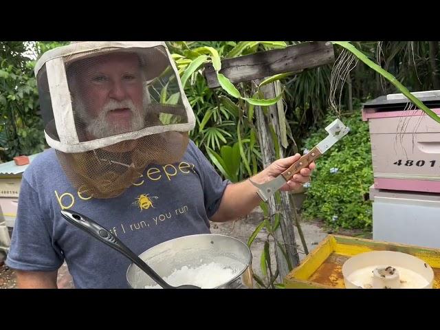 Simple ways to Feed bees during dearth