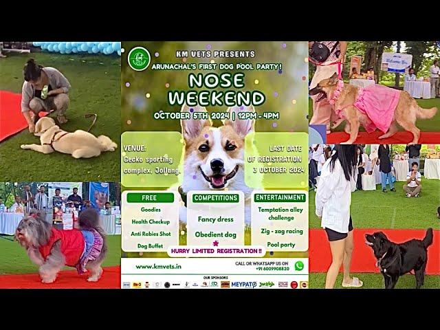 Pehli baar Arunachal mai pets party  | Nose Weekends | KM vets