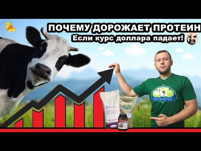 ПОЧЕМУ ДОРОЖАЕТ ПРОТЕИН если курс доллара падает?