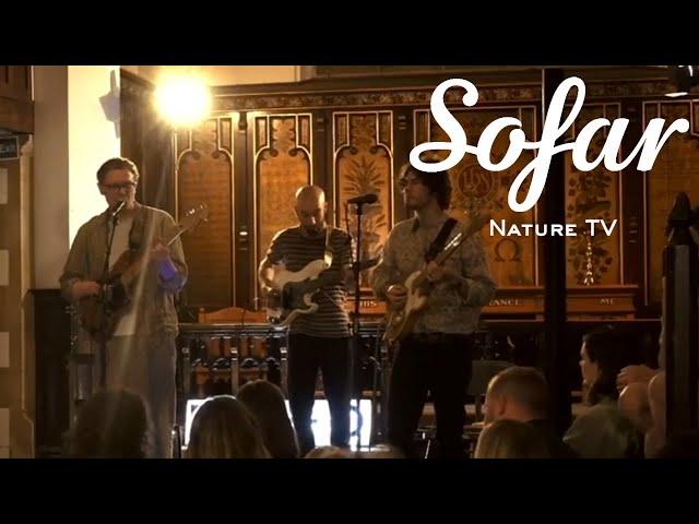 Nature TV - Only One | Sofar London