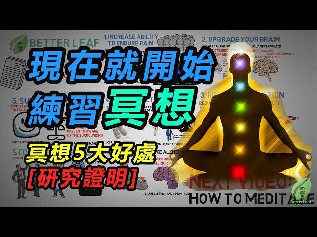 【好葉】冥想的5大好處！（科學證實）- 現在就開始練習冥想