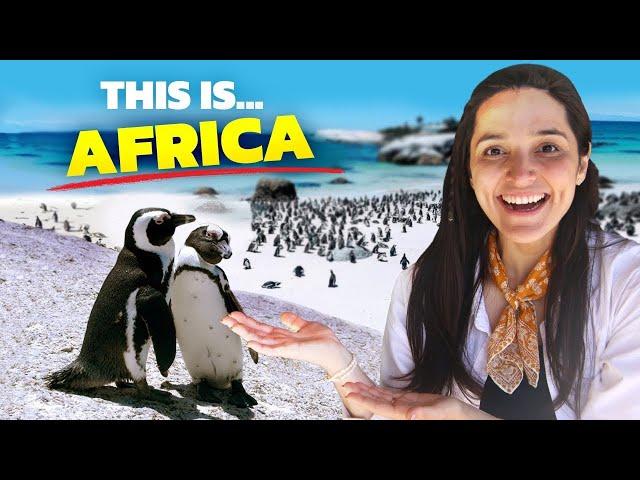 We Found 3,000 Penguins in South Africa!