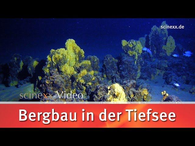 Bergbau in der Tiefsee // scinexx.de