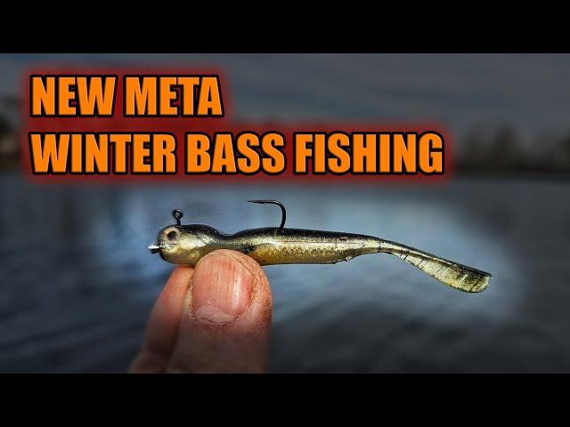 Latest Fishing META for Catching Winter Bass Fishing - Hover Strolling and Spine Rig