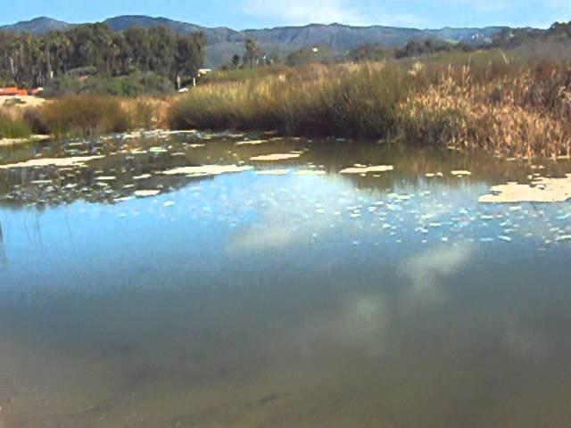 Biggest Loser Resort Malibu - Zuma Beach Lagoon