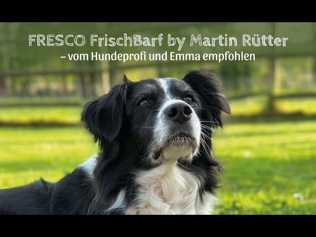 FRESCO Frischbarf – die Innovation in der Welt des Barfens