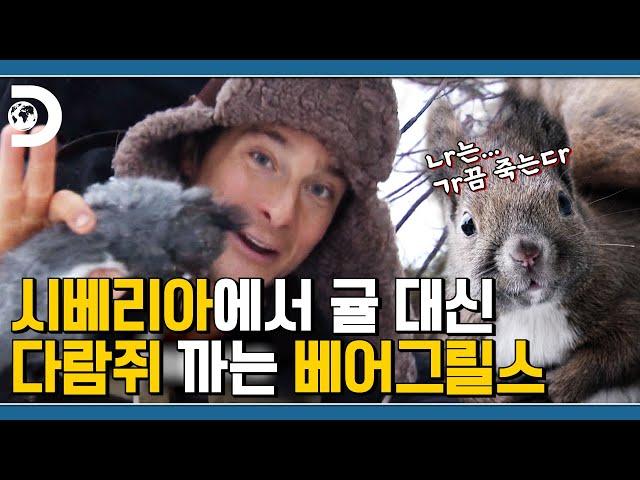 오! 도토리가 있네요 다람쥐를 죽여야겠어요, 베어그릴스의 다람쥐 먹방 [Man vs Wild]