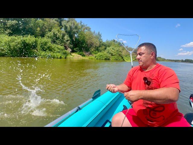 We catch and fry Wild Fish for Dinner on the River Bank. Fishing 2024 / Fried fish / Recipes