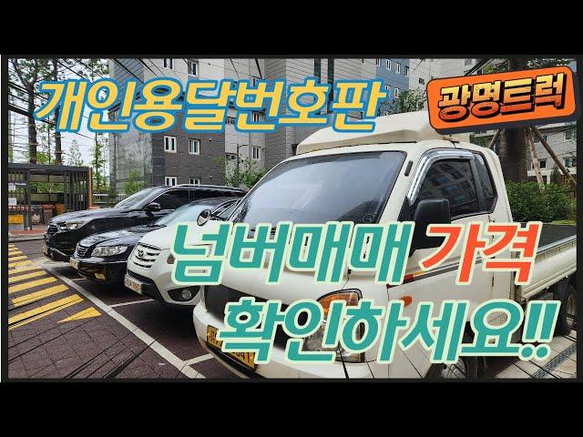 1톤용달넘버 매매가격 확인하세요(feat.포천 매매현장)