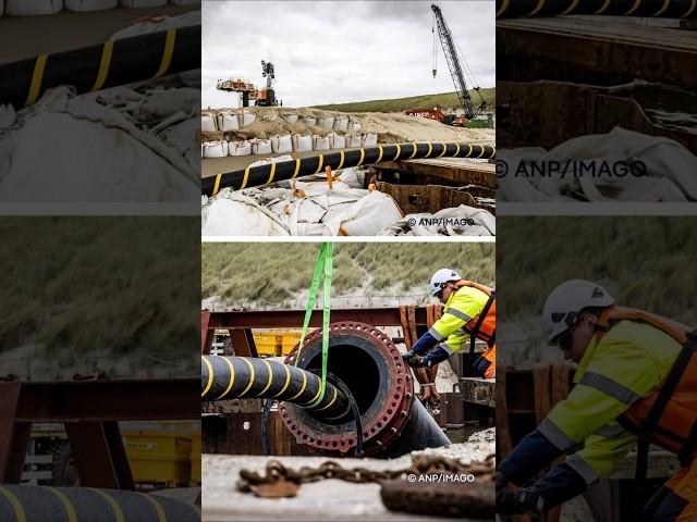 Undersea cables: Vital and vulnerable | Mapped Out