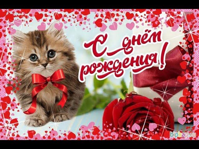 С ДНЁМ РОЖДЕНИЯ ПЛЕМЯННИЦА #красивоепоздравление,#волшебноепоздравление,#поздравлениесднёмрождение