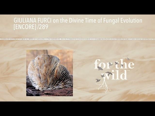 GIULIANA FURCI on the Divine Time of Fungal Evolution [ENCORE] /289