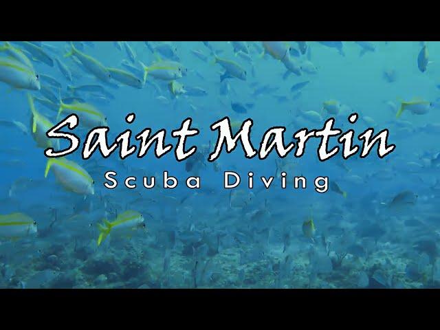 Scuba diving in St Martin | St Maarten | 4K