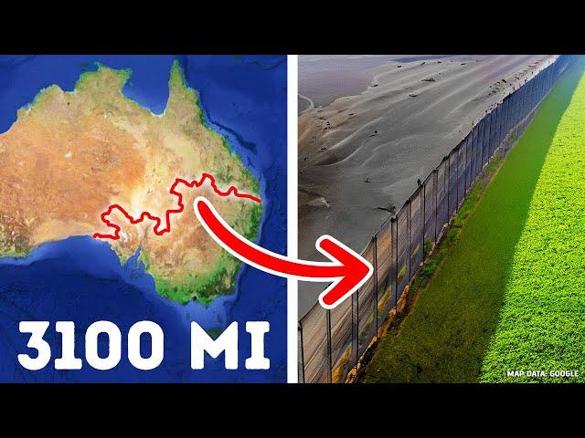 Why Australia Built a Fence Across the Entire Continent