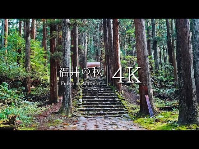 Visiting temples and shrines in another world in Fukui Prefecture - JAPAN in 4K