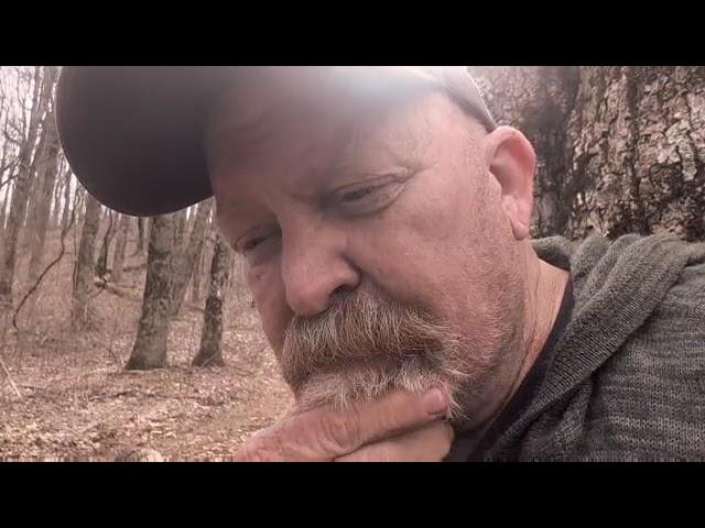 DogTag hiking the Appalachian Trail from Rocky Mtn to Dick's Creek Gap-Day 11, 12 & 13