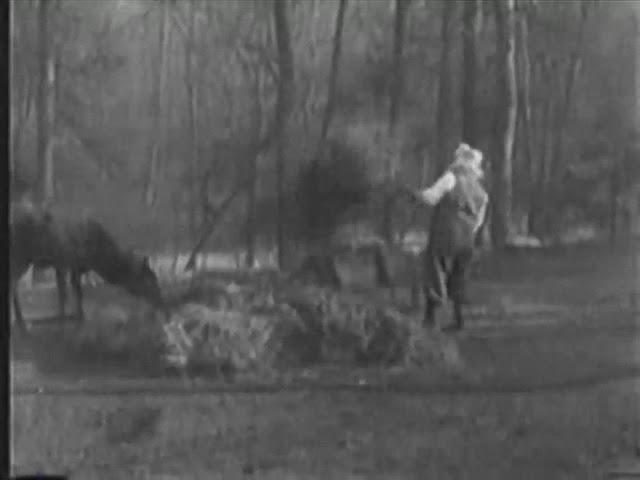 The Night Before Christmas(1905 Christmas short)Public Domain Media