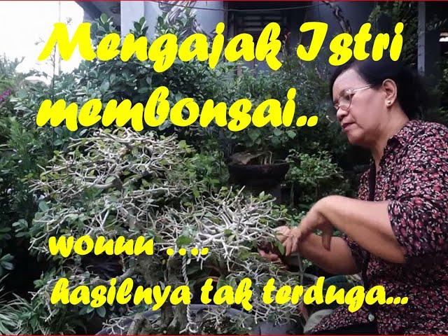 Mengajak Istri Membonsai