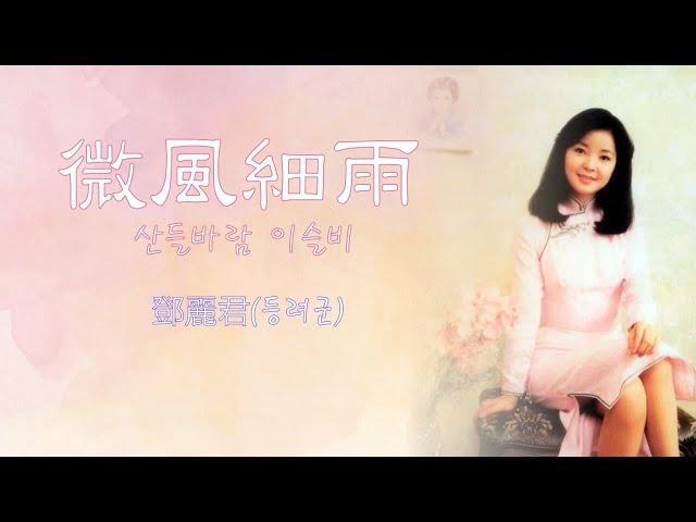 鄧麗君(등려군, Teresa Teng) - 微風細雨(산들바람 이슬비)【가사번역】 / 張毅(장의) 바이올린 연주곡 합본