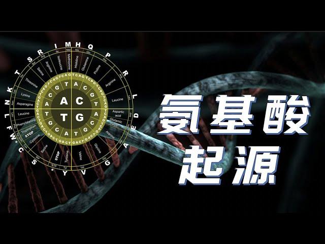 【鬼谷说】我们习以为常的万物，都是演化创造的奇迹——氨基酸