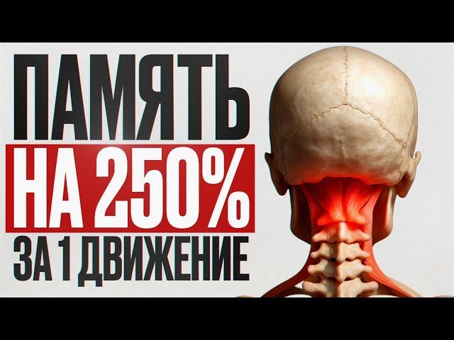 ЭТА точка УЛУЧШИТ память на 250%, зрение на 300%! Простое упражнение для улучшения кровотока