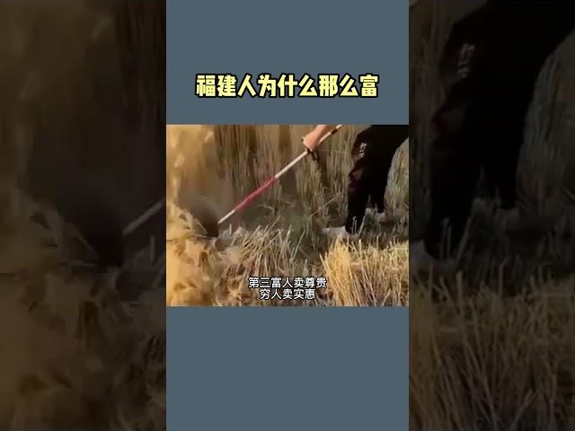 福建人为什么那么富 #格局  #思维模式  #商业思维