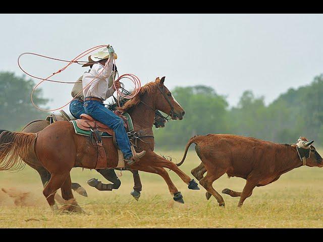 THE BUSHYHEAD RODEO  •  AN EVENT LIKE NO OTHER