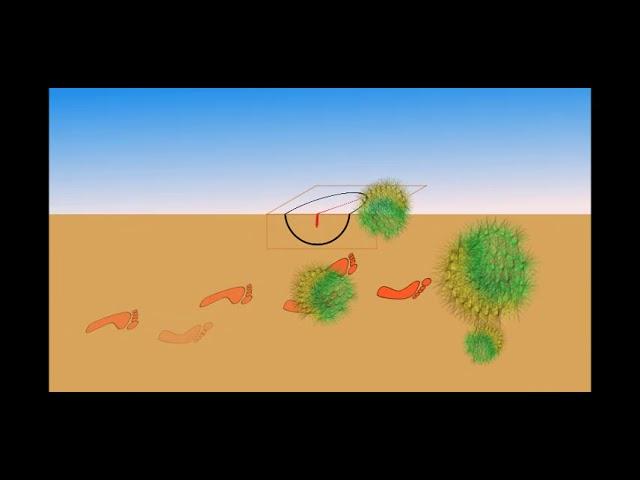 clock in the desert