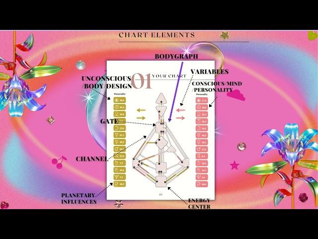 Human Design: The Anatomy of a Human Design Chart