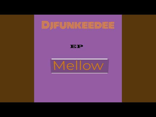 Mellow Funk Melodies