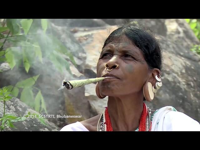 The Lanjia Saora, a tribal community of Southern Odisha