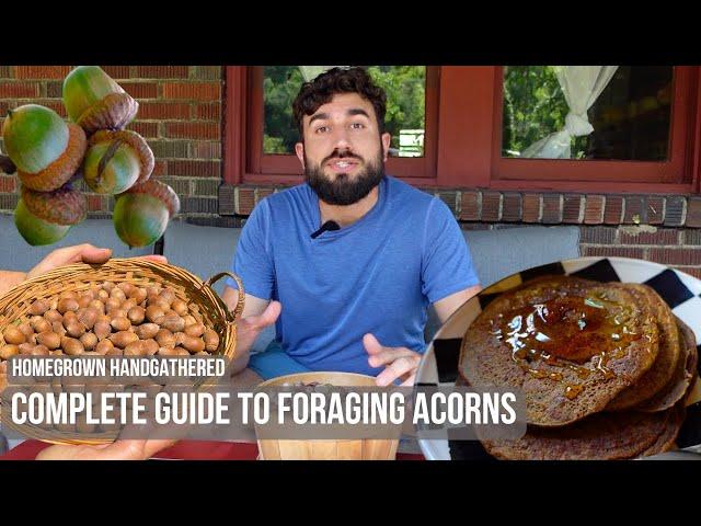 How to Sustainably Forage and Cook Acorns (Acorn Flour Pancakes)