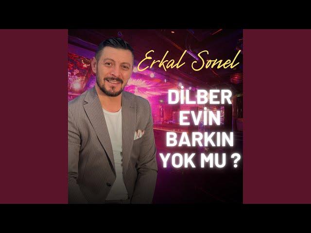 Dilber Evin Barkın Yok Mu ?