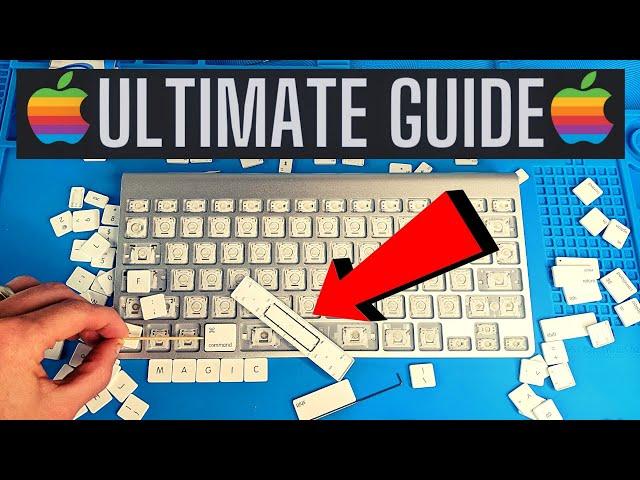 Apple Wireless Keyboard Repair: Remove, Clean and Install Every Key [4K] (very detailed for diy fix)