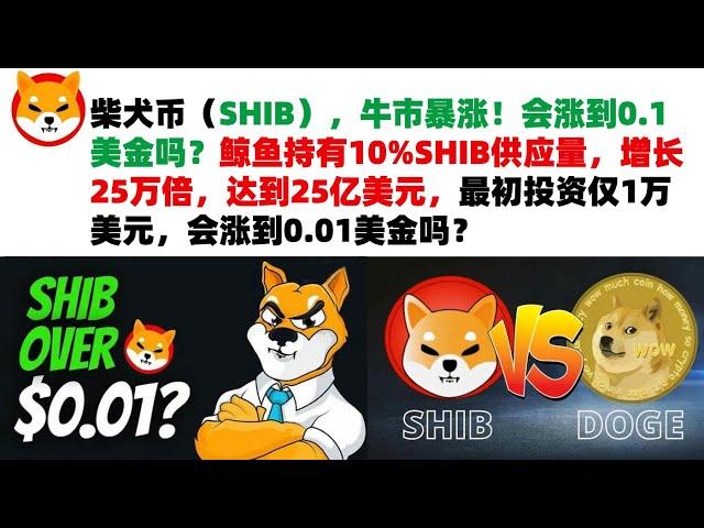 柴犬币（SHIB），牛市暴涨！会涨到0.1美金吗？鲸鱼持有10%SHIB供应量，增长25万倍，达到25亿美元，最初投资仅1万美元，会涨到0.01美金吗？shib币|柴犬币|屎币行情分析！