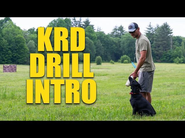 Intro to the KRD Drill: Key Relationship Drill