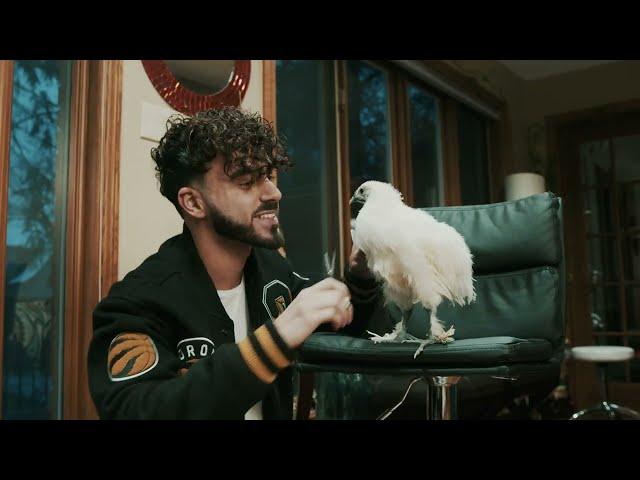 Saif Shawaf - Chicken Wing (Official Video)