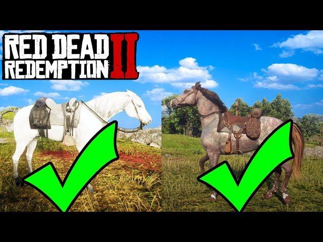 HOW TO GET EVERY BEST HORSE IN RED DEAD REDEMPTION 2 FOR FREE! RDR2 Best Horse Location!