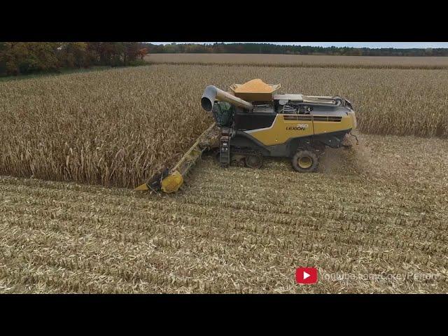 Corn Harvest - 2016