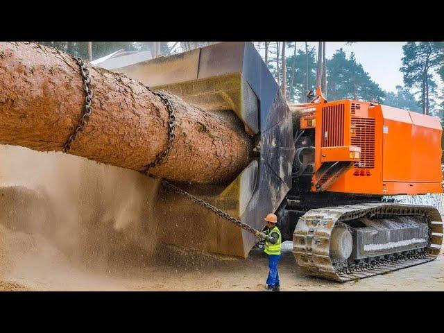 Biggest Tree Processing & Destroy Machines Working - Dangerous Huge Stump Removal Log Splitter