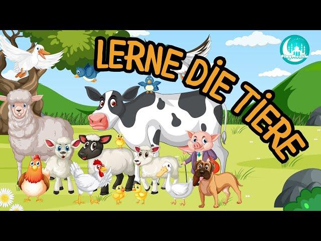 Tiere lernen für Kinder | Tierlaute Tiernamen Tierstimmen Tiergeräusche Kleinkinder