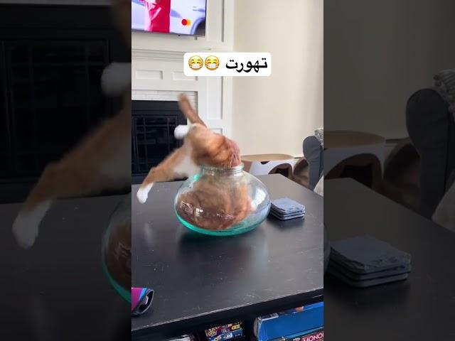 كتمه 
