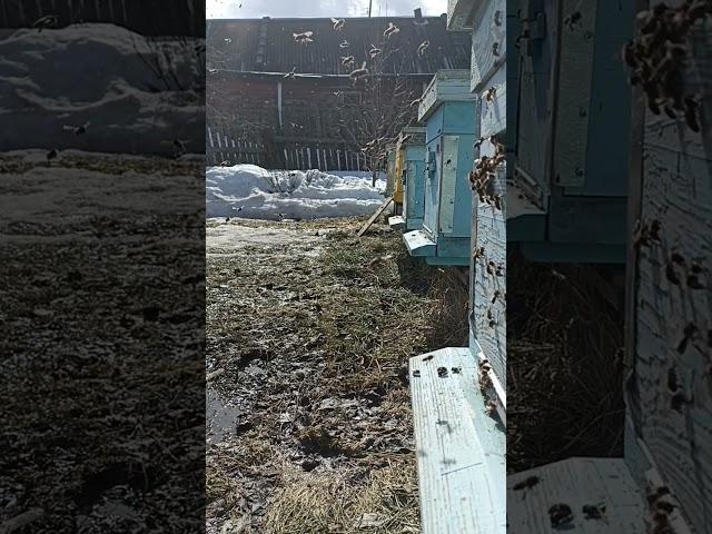 ПОЛЕТЕЛИ