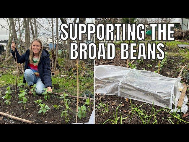 DECEMBER ALLOTMENT WORK / ALLOTMENT GARDENING UK