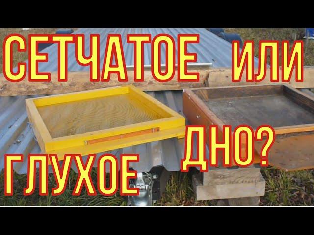 Сетчатое или глухое дно для улья?